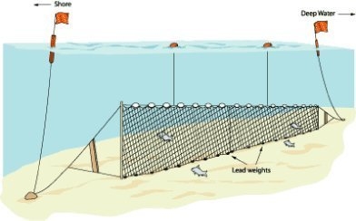 Fanyalı Profesyonel Turna Ağı 50 Metre 3 Numara İp Kalınlıklı